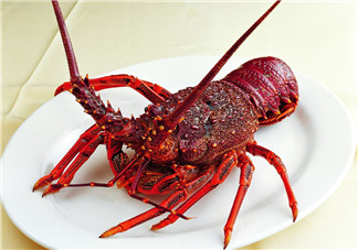 澳洲龍蝦是淡水的嗎？澳洲龍蝦是海鮮嗎？