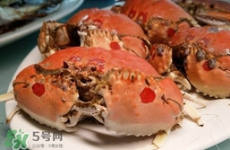 面包蟹什么季節(jié)吃最好？面包蟹什么時候最有黃