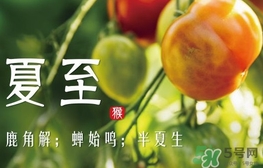 夏至是什么意思？夏至的習(xí)俗有哪些