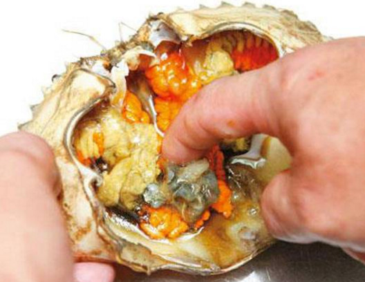 活面包蟹怎么打開(kāi)？活面包蟹怎么殺