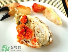 面包蟹是黃道蟹嗎？黃道蟹和面包蟹一樣嗎