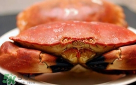 熟凍面包蟹蒸多長時(shí)間？熟凍面包蟹煮多長時(shí)間