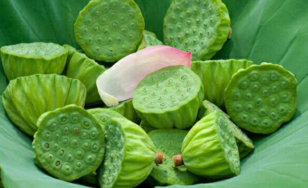 新鮮蓮子什么時(shí)候有？新鮮蓮子幾月有？