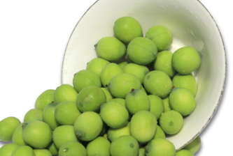 新鮮蓮子什么時(shí)候有？新鮮蓮子幾月有？