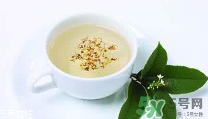 葛根茶多少錢(qián)一盒？2017葛根茶價(jià)格