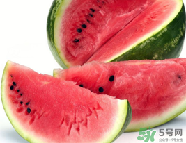 西瓜籽怎么種植？西瓜籽能種出西瓜嗎？