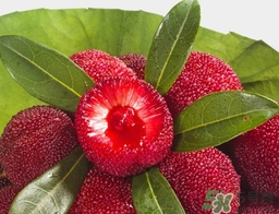 喝楊梅酒會拉肚子嗎？楊梅酒可以治療拉肚子嗎？