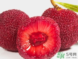 喝楊梅酒會拉肚子嗎？楊梅酒可以治療拉肚子嗎？