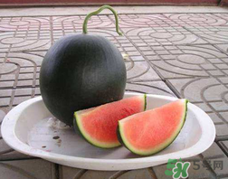 小西瓜能吃嗎？小西瓜孕婦可以吃嗎？