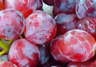 提子皮澀怎么處理？提子皮澀能吃嗎？