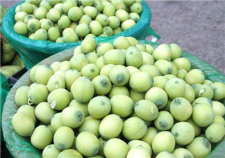 新鮮蓮子什么時(shí)候有？新鮮蓮子幾月有？