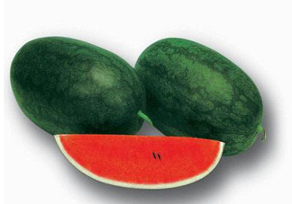 黑美人西瓜多少錢一斤？黑美人西瓜怎么挑？