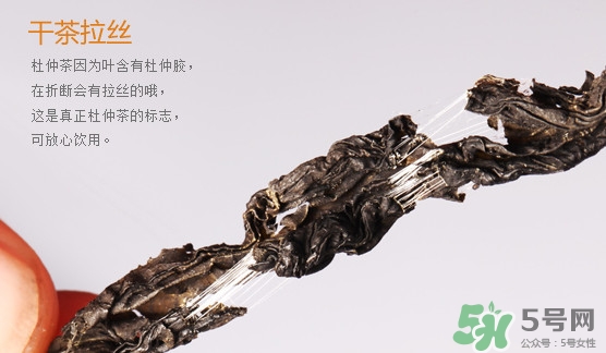 杜仲茶每天喝多少合適？杜仲茶喝多有什么不好