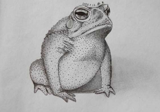 癩蛤蟆趴在腳面上是什么意思？癩蛤蟆趴到腳面上歇后語