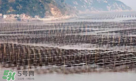 2017暑假旅游帶孩子去哪里好？2017暑假旅游線路推薦