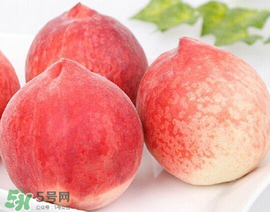 雪桃多少錢一斤？雪桃多少錢一斤2017？