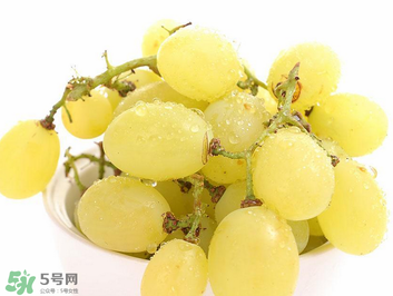 馬奶葡萄什么時候上市？馬奶葡萄2017上市時間