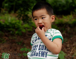 楊梅汁弄到白衣服上怎么洗？白色衣服上的楊梅汁怎么洗？