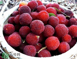 楊梅汁弄到白衣服上怎么洗？白色衣服上的楊梅汁怎么洗？