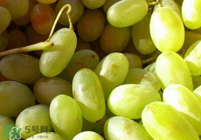 馬奶葡萄怎么保存？馬奶葡萄保存方法