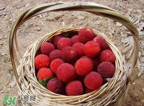 煮楊梅汁需要煮多長(zhǎng)時(shí)間？楊梅汁怎么煮？