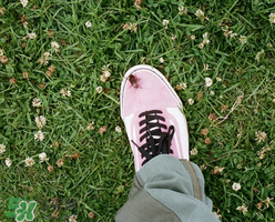 stussy與vans2017春夏系列聯(lián)名鞋子什么時候發(fā)售？