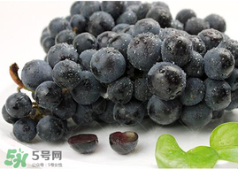 無籽葡萄孕婦能不能吃？無籽葡萄和葡萄的區(qū)別