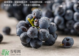 無籽葡萄孕婦能不能吃？無籽葡萄和葡萄的區(qū)別