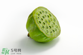 蓮蓬什么時(shí)候成熟？蓮蓬什么時(shí)候上市？