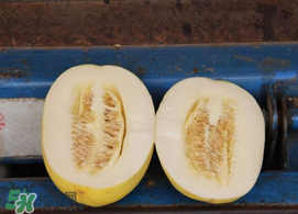 黃金瓜孕婦能吃嗎？孕婦可以吃黃金瓜嗎？