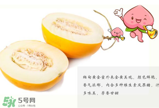 黃金瓜熱量高嗎？黃金瓜會胖嗎？