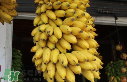 芭蕉不熟可以吃嗎？芭蕉怎么催熟