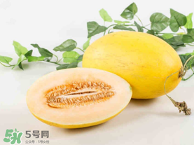 黃金瓜是熱性還是涼性？黃金瓜是涼性的嗎？