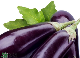 茄子怎么挑選？如何挑選茄子？