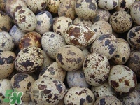 孕婦吃鵪鶉蛋會(huì)長(zhǎng)斑嗎？孕婦吃鵪鶉蛋好還是雞蛋好？