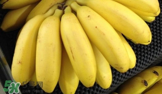 芭蕉能和牛奶一起吃嗎？牛奶可以和芭蕉一起吃嗎