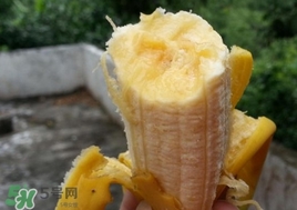 孕婦可以吃芭蕉嗎？吃芭蕉有什么好處