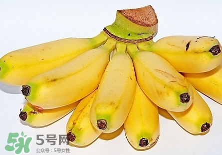 芭蕉熱量高嗎？芭蕉可以減肥嗎