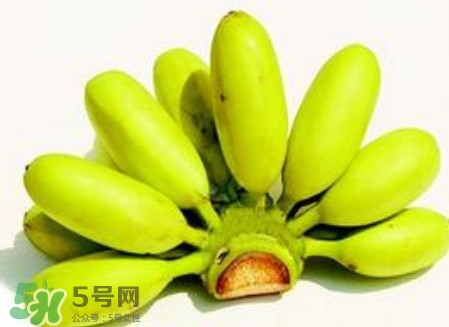 芭蕉是香蕉嗎？芭蕉和香蕉的區(qū)別