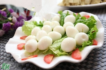 鵪鶉蛋和雞蛋哪個營養(yǎng)價值高？鵪鶉蛋怎么選購？