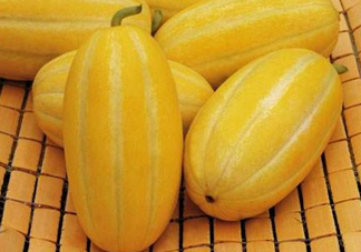 黃金瓜熱量高嗎？黃金瓜會胖嗎？