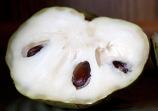 番荔枝什么時候成熟？番荔枝什么時候開花？