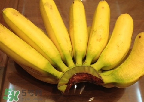 芭蕉可以放冰箱嗎？芭蕉能放冰箱保存嗎
