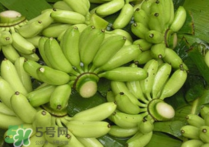 芭蕉如何保存時間久？青芭蕉摘下來怎么保存