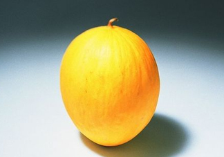 黃金瓜是熱性還是涼性？黃金瓜是涼性的嗎？