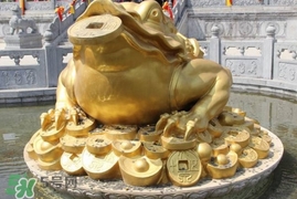 蟾蜍能活多久？蟾蜍可以活多少年