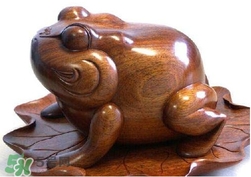 蟾蜍有什么寓意？為什么蟾蜍被寓意為招財(cái)？