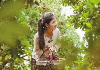 仙居楊梅在哪里？仙居楊梅哪里最好？