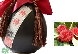 楊梅酒和青梅酒哪個好喝？楊梅酒和青梅酒區(qū)別