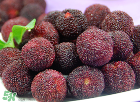 東魁楊梅多少錢一斤？東魁楊梅多少錢一斤2017？